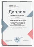 Всероссийское тестирование: Информационно-коммуникационные технологии в профессиональной деятельности 